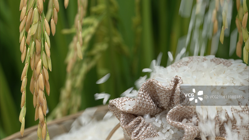 丰收季节稻谷收获收割图片素材