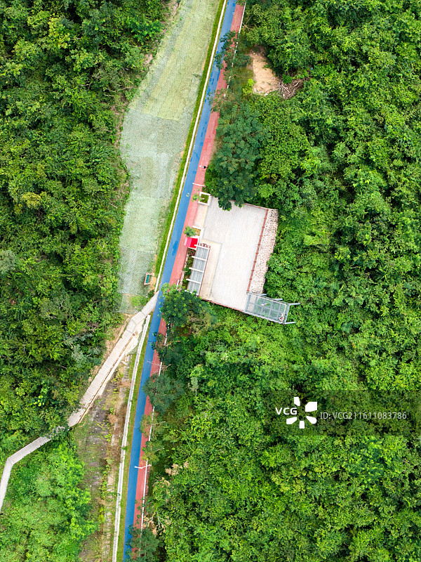 海南自贸港三亚临春岭森林公园航拍风景图片素材