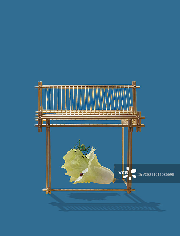 濮阳，非遗，绢艺，蝈蝈白菜图片素材