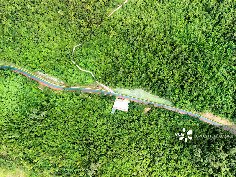 海南自贸港三亚临春岭森林公园航拍风景图片素材