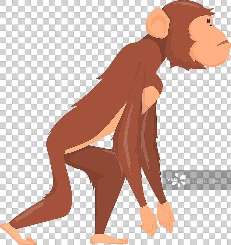 站立的猿，史前猴子，行走的动物图片素材