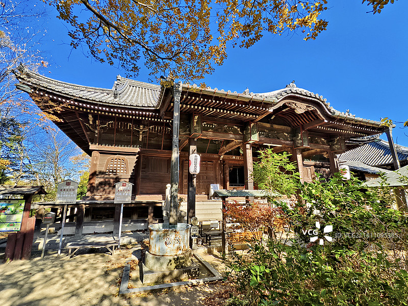 日本香川县赞岐市，志度寺（又名清净光院，四国遍路第八十六号札所）本堂图片素材