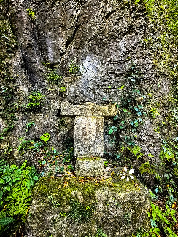 中国贵州省黔东南州施秉云台山的灌木丛，施秉云台山徒步，秋天的云天山，世界自然遗产，国家地质公园图片素材