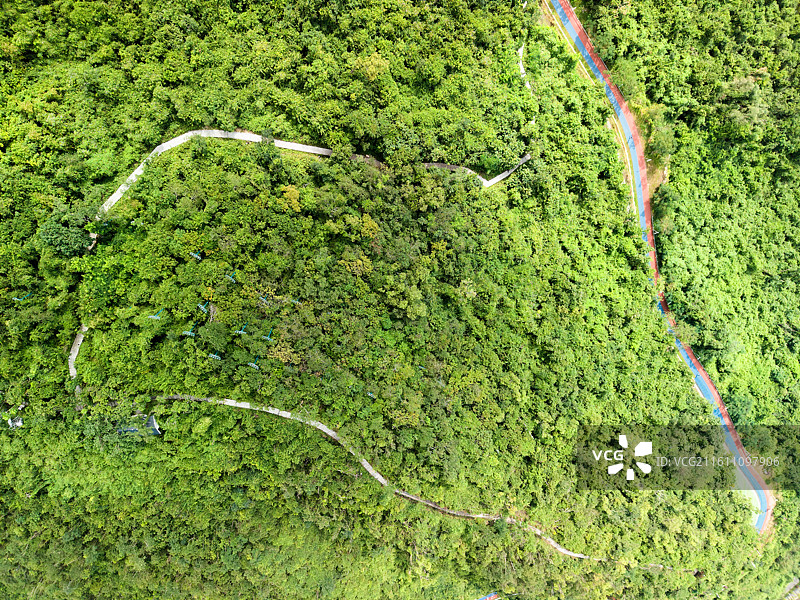 海南自贸港三亚临春岭森林公园航拍风景图片素材