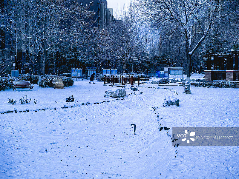 北京紫金新干线小区冬天的初雪风景风光图片素材