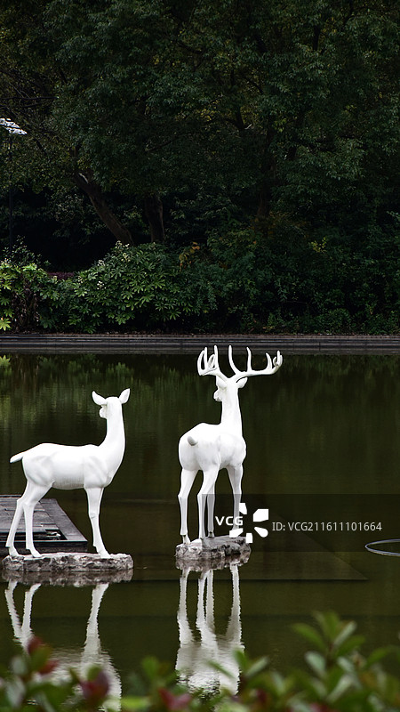 藏在森林中的创意雕塑图片素材