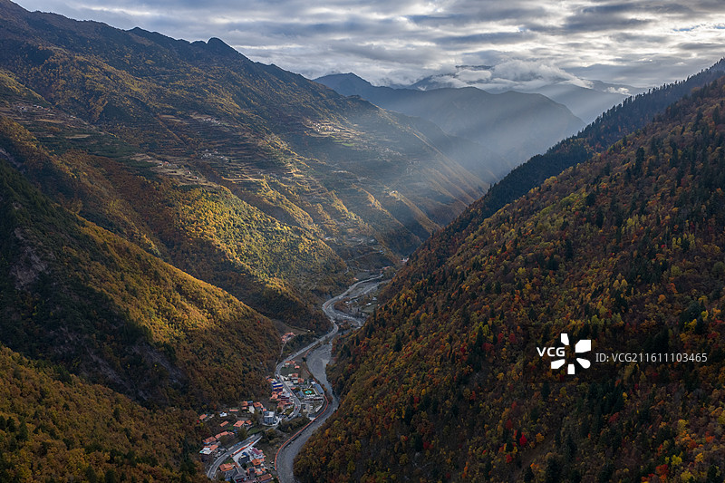 黑水彩林图片素材