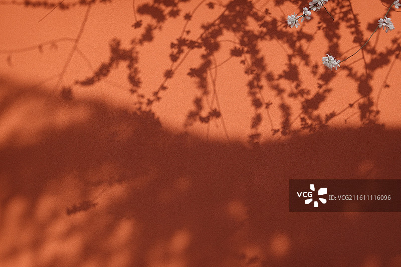 陕西省西安市莲湖区玉祥门广仁寺喇嘛庙：春天红墙山桃花盛开图片素材