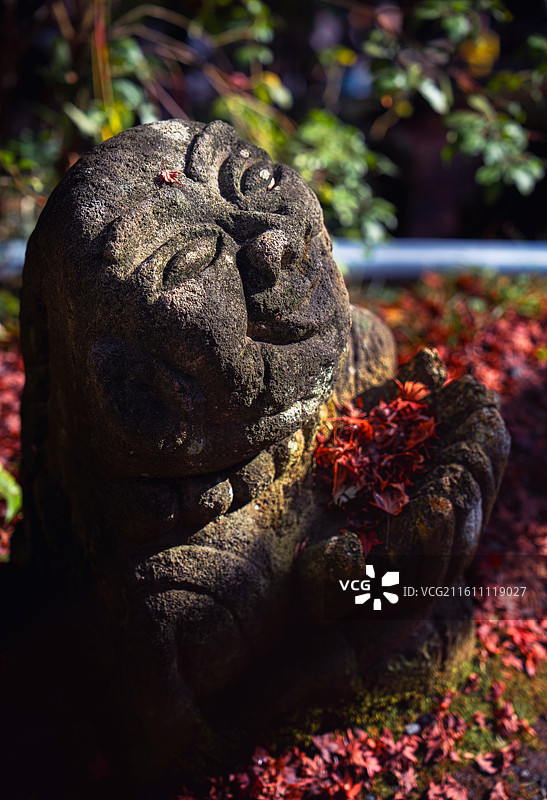 日本京都，岚山区域，爱宕念佛寺内，各种形态石雕小佛像图片素材