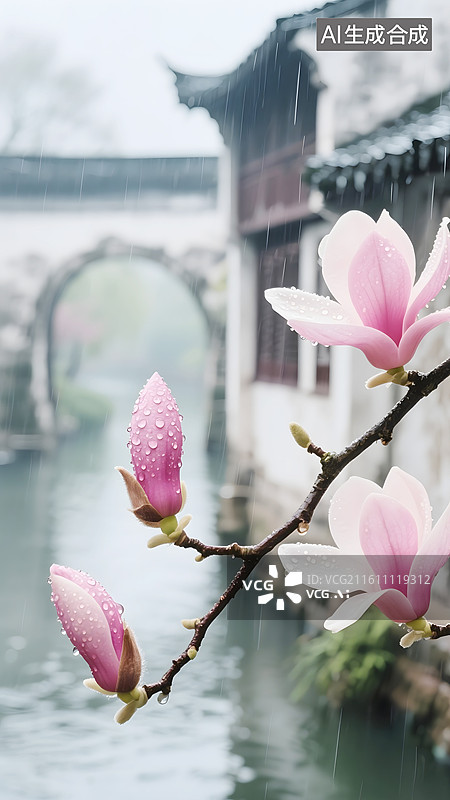 【AI数字艺术】AIGC：惊蛰节气背景，春天在雨中盛开的玉兰花，江南水乡，自然风光，背景壁纸图片素材