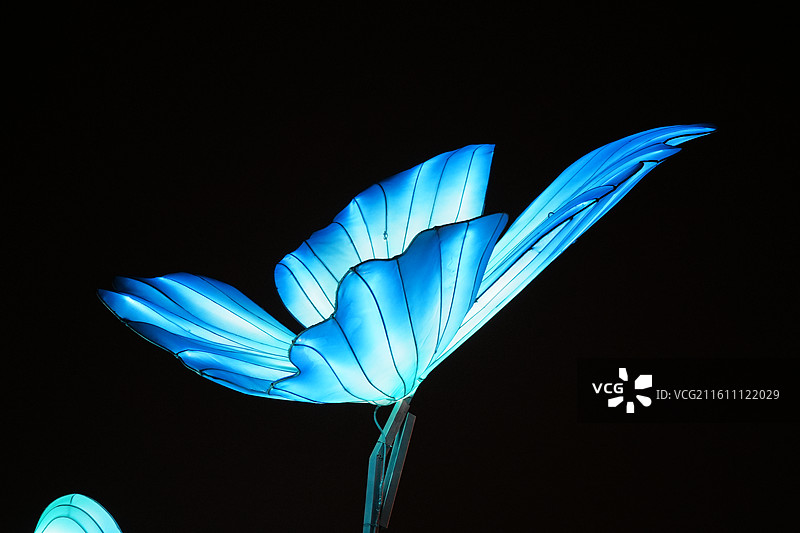 郑州阜民里的彩灯图片素材