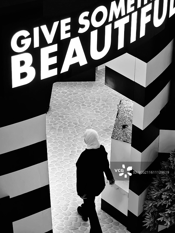 黑白境里的美之诘问图片素材