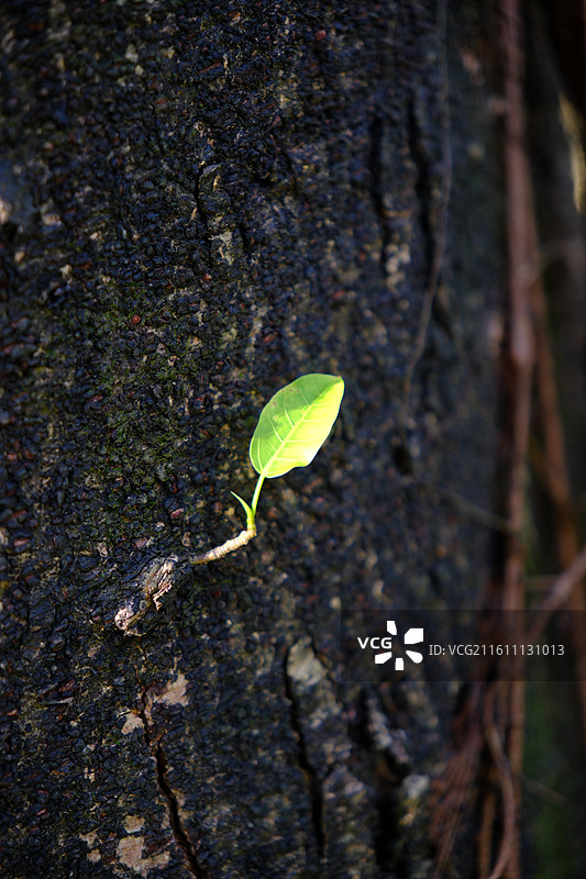 公园各处景致图片素材