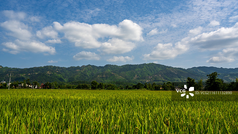 重庆大足隆平五彩稻田航拍图片素材