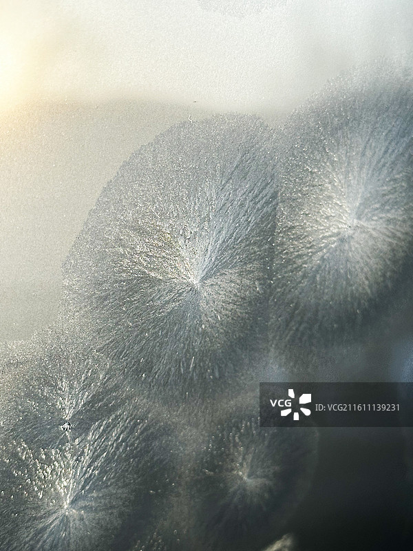 北方冬天车窗玻璃上冻结的冰花图片素材