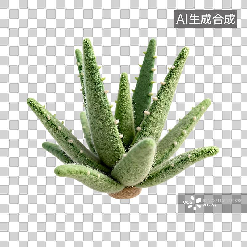 【AI数字艺术】手工毛毡芦荟多肉植物图片素材