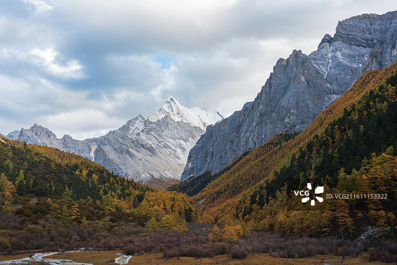 雪山下的秋日序曲：亚丁山谷的金色秘境图片素材