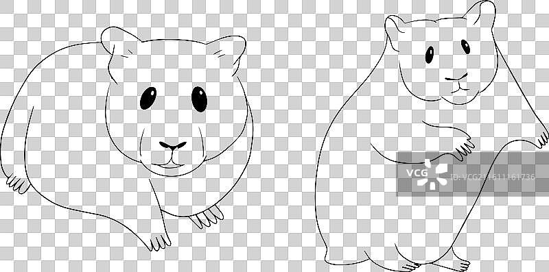 仓鼠草图 290724图片素材