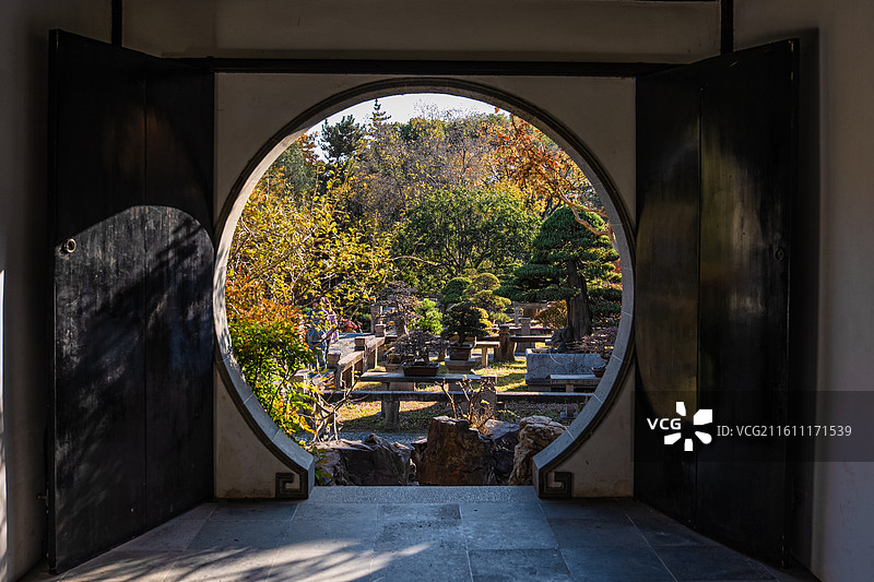 苏州园林 虎丘 秋天红叶 红枫 江南风光 中式美学 世界文化遗产图片素材