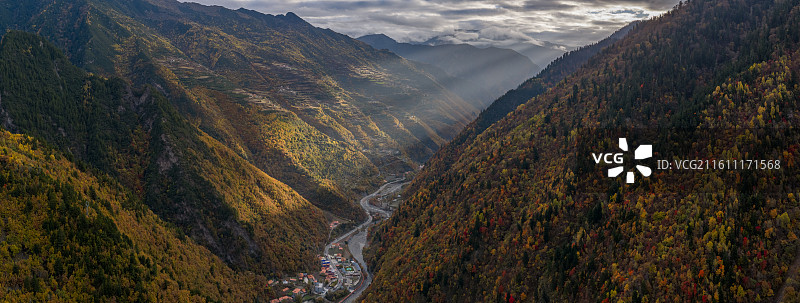 黑水彩林图片素材