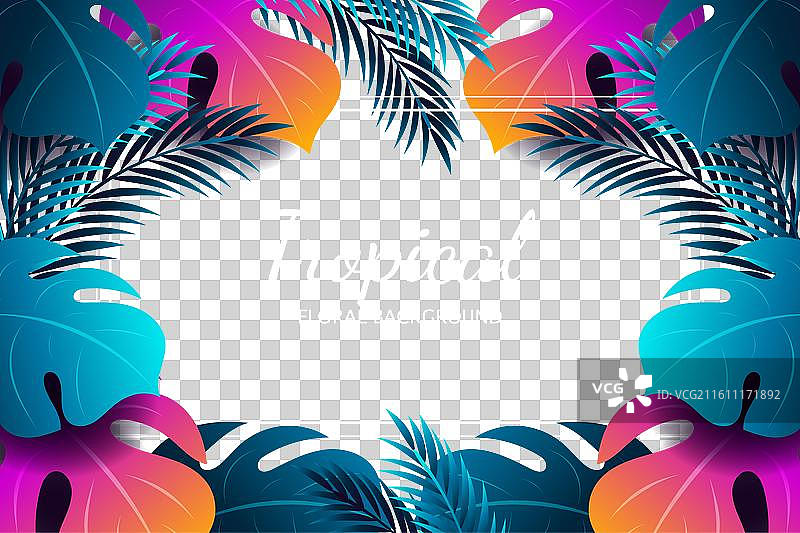 时尚多彩的夏季热带树叶图片素材