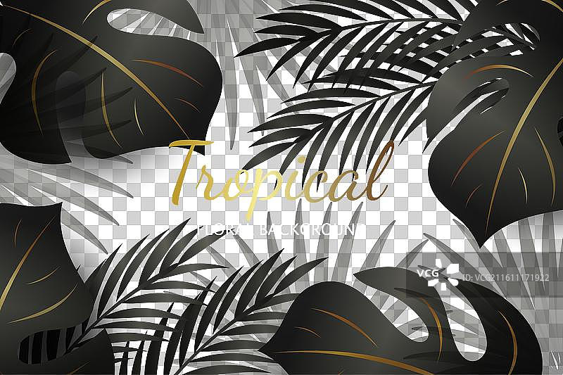奢华金色热带叶子背景图片素材