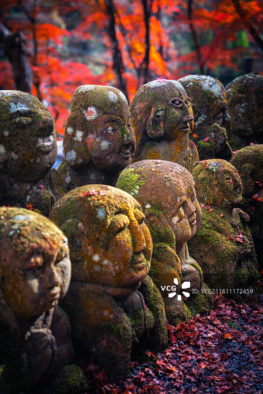 日本京都，岚山区域，爱宕念佛寺内，各种形态石雕小佛像图片素材