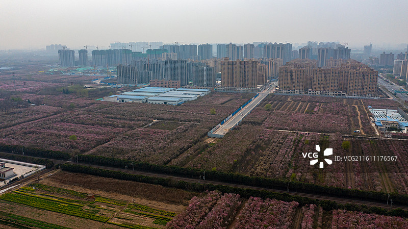 冬日的城市风光图片素材