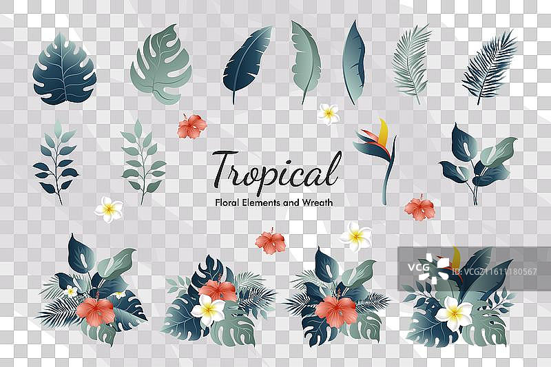 夏季热带花卉叶子和植物元素图片素材