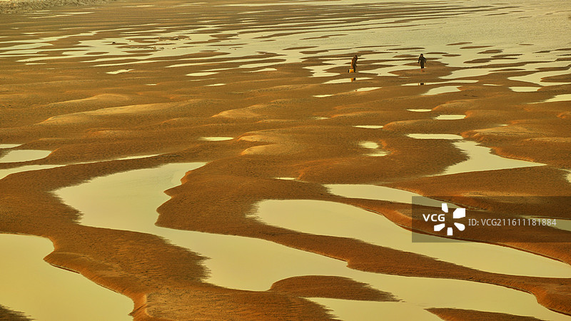江渚戏水（湖北江陵朱家台）图片素材