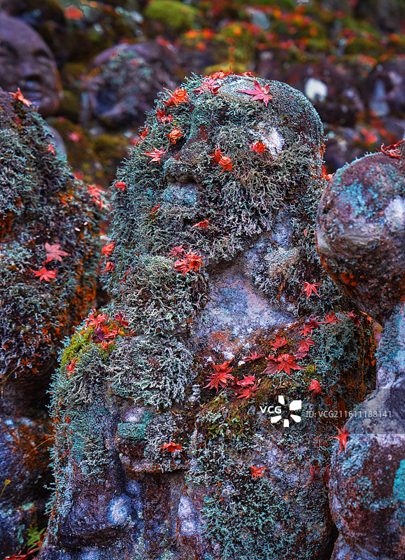 日本京都，岚山区域，爱宕念佛寺内，各种形态石雕小佛像图片素材