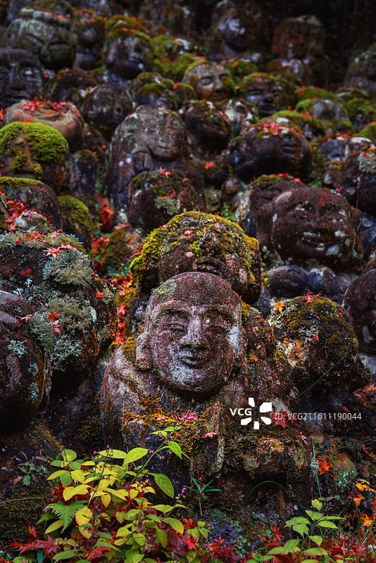 日本京都，岚山区域，爱宕念佛寺内，各种形态石雕小佛像图片素材