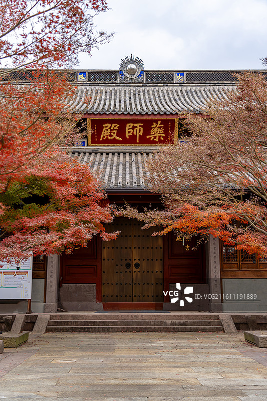 宁波海曙观宗讲寺秋天枫叶红了图片素材