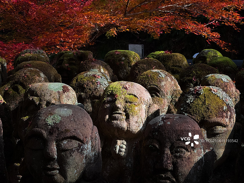 日本京都，岚山区域，爱宕念佛寺内，各种形态石雕小佛像图片素材