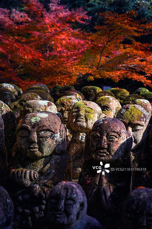 日本京都，岚山区域，爱宕念佛寺内，各种形态石雕小佛像图片素材