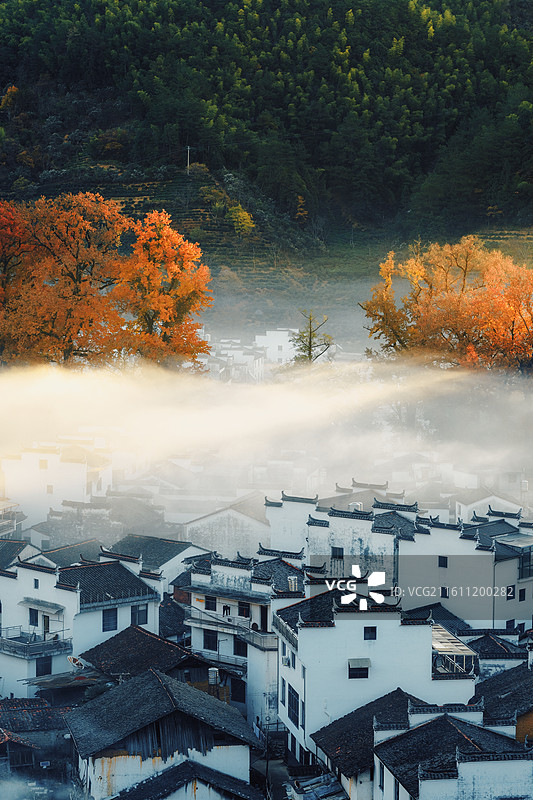 婺源石城红枫叶景区图片素材