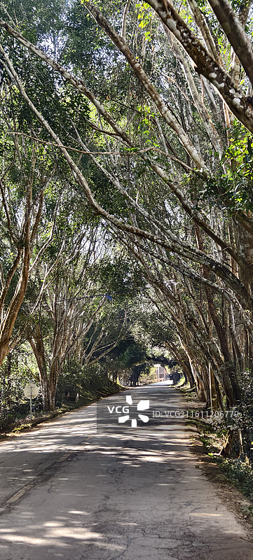 云南普洱澜沧拉祜族自治县景迈山景区～沿途抓拍图片素材