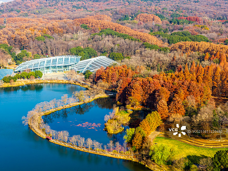 秋天，南京燕雀湖，前湖公园，植物博览园航拍图片素材