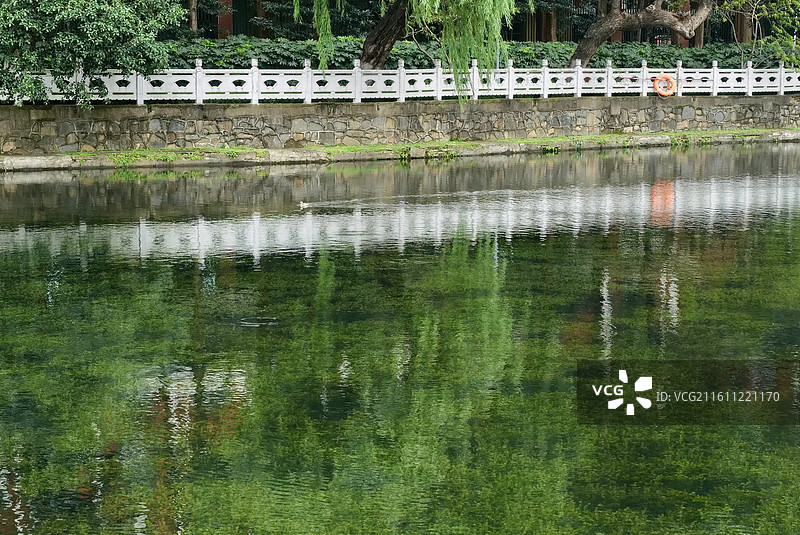 湖北武汉小南湖公园城市风光图片素材