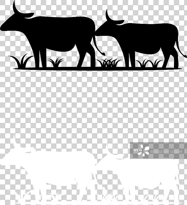 剪影风格的牛的标志图片素材