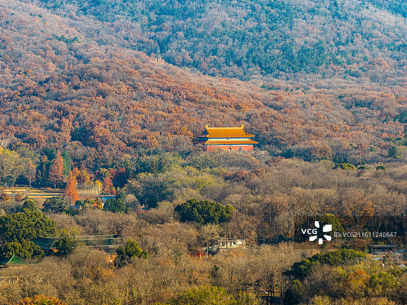 南京中山陵风景区明孝陵秋天清晨航拍，秋的五彩乐章图片素材