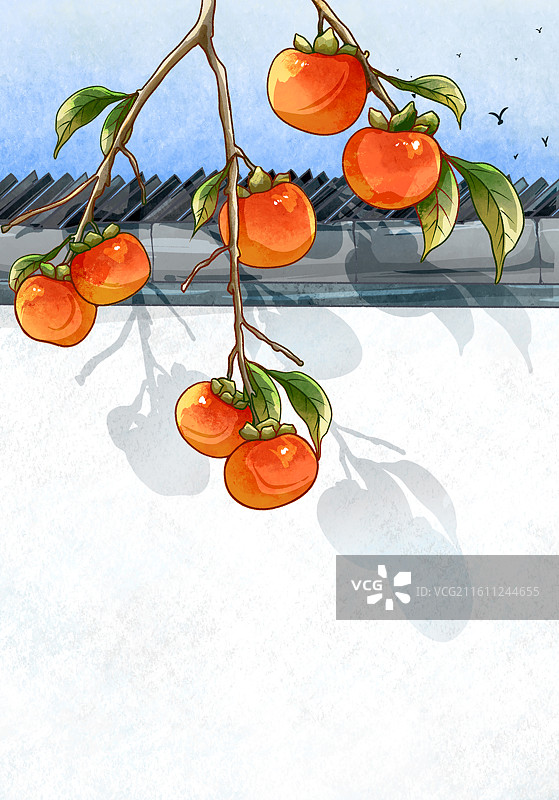 冬季景色插画柿子白墙黛瓦竖图图片素材
