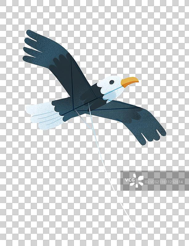 老鹰风筝图片素材