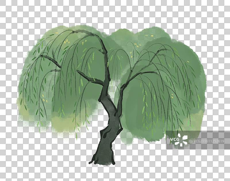 写意柳树图片素材