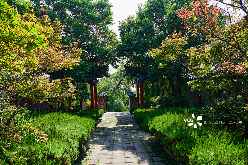 滕州故城图片素材