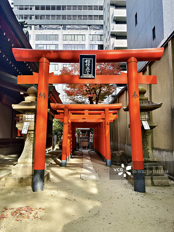 日本大阪府大阪市，大阪天满宫内的白米稻荷社图片素材