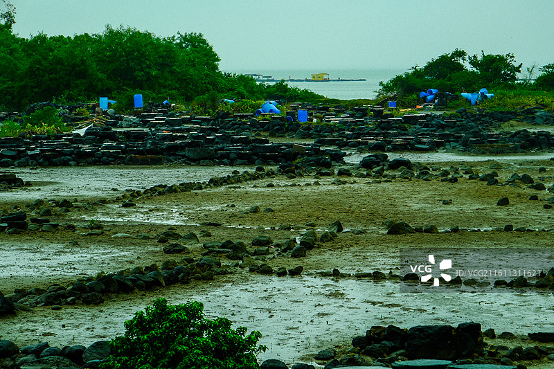 中国海南省儋州洋浦开发区洋浦盐田风光，儋州洋浦盐田，全国重点文物保护单位图片素材