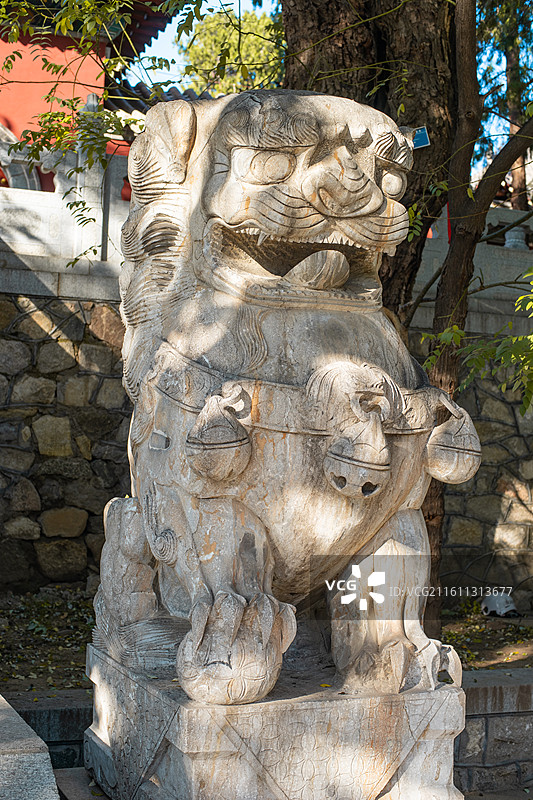中国山东泰安泰山旅游著名景点老君堂宗教信仰拍摄主题，门口的石头狮子装饰物，户外白昼无人图像摄影图片素材