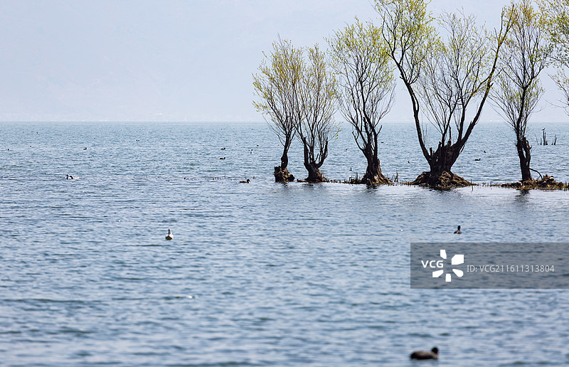 大理洱海风景图片素材