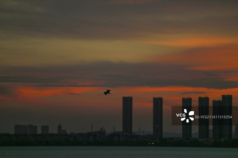 城市天空的晚霞图片素材